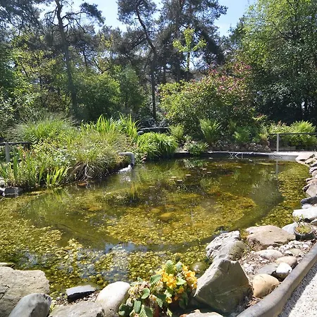 Magnificent Villa In Bergeijk With A Pond Vakantiehuis