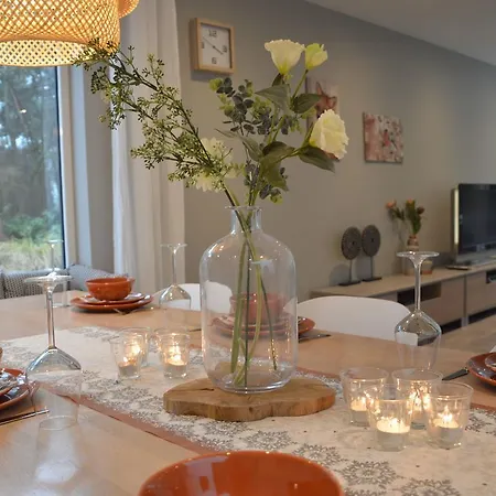 Holiday home Magnificent Villa In Bergeijk With A Pond *